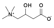 L carnitine's molecular structure