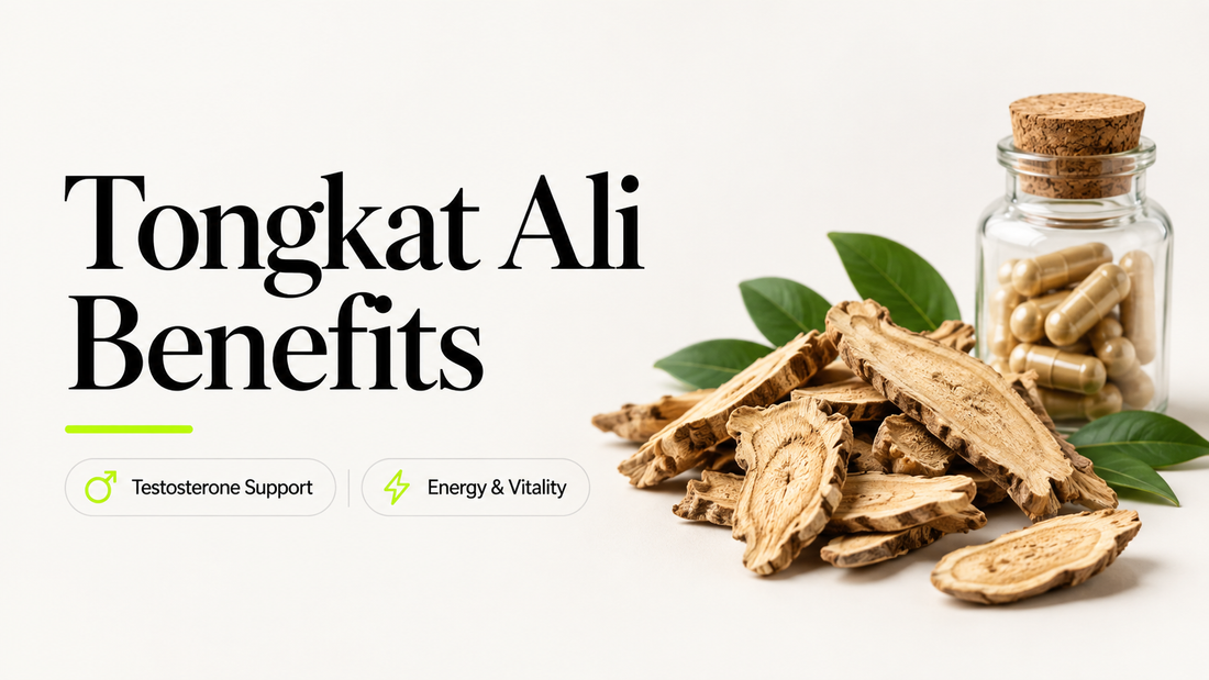 Tongkat Ali Benefits