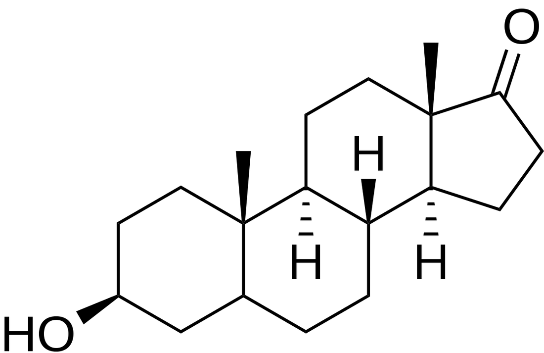 Epiandro Bodybuilding: A Comprehensive Guide - Supplement Shop