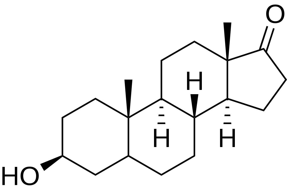 Epiandro Bodybuilding: A Comprehensive Guide - Supplement Shop