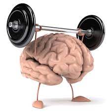 The Nootropic Pre-Workout Guide for Peak Performance - Supplement Shop