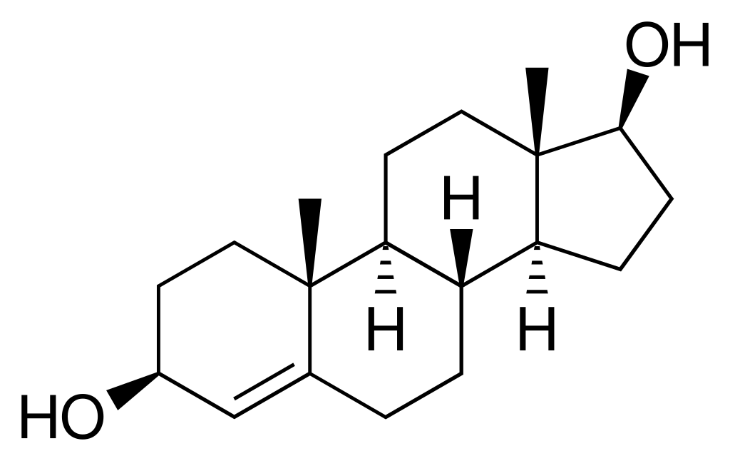 Unveiling the Power of Non-Methylated Prohormones: A Comprehensive Guide - Supplement Shop