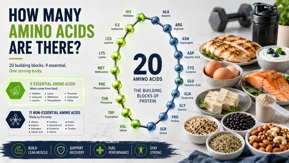 How Many Amino Acids Are There?
