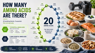 The Ultimate Guide to Amino Acids: Types, Benefits, & Top Food Sources