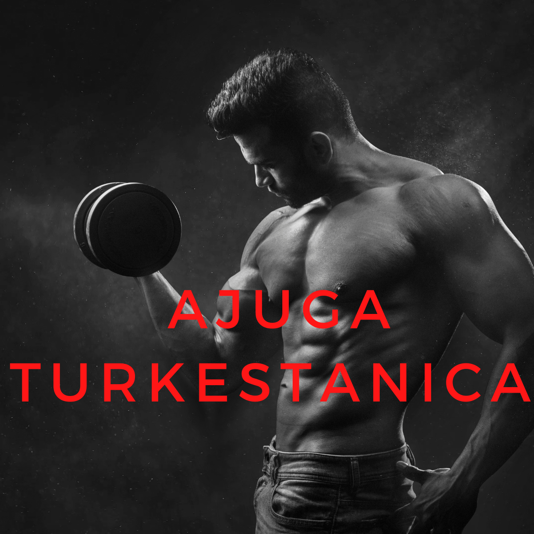 Ajuga Turkestanica Extract: Unveiling Its Benefits - Supplement Shop
