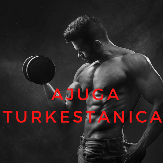Ajuga Turkestanica Extract: Unveiling Its Benefits - Supplement Shop