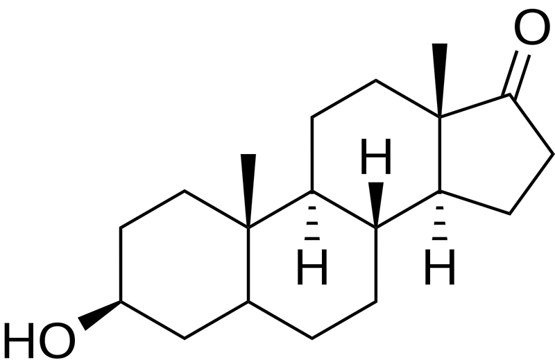 Epiandro Bodybuilding: A Comprehensive Guide - Supplement Shop