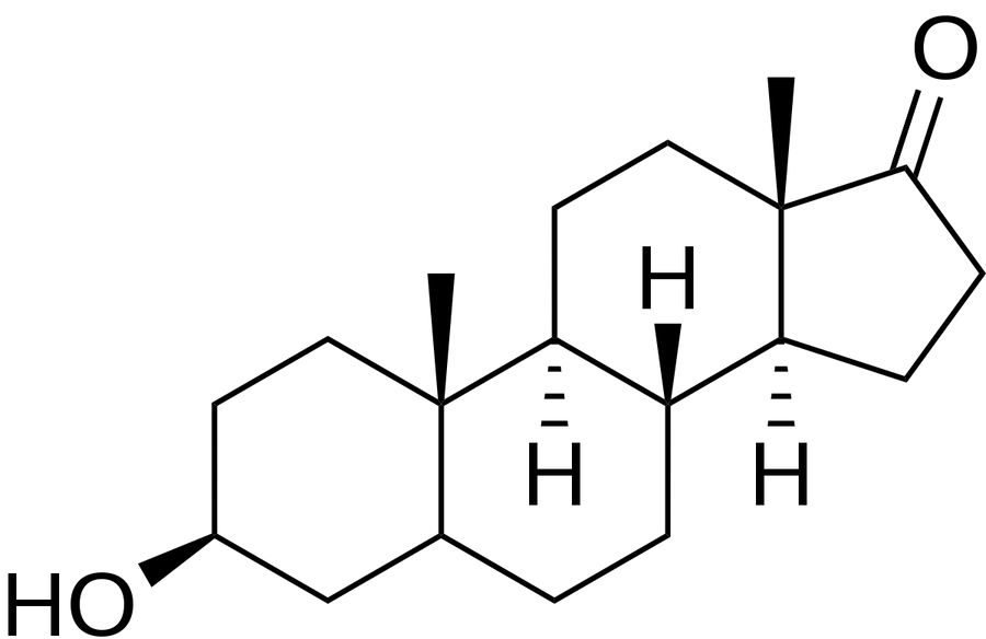 Epiandro Bodybuilding: A Comprehensive Guide - Supplement Shop