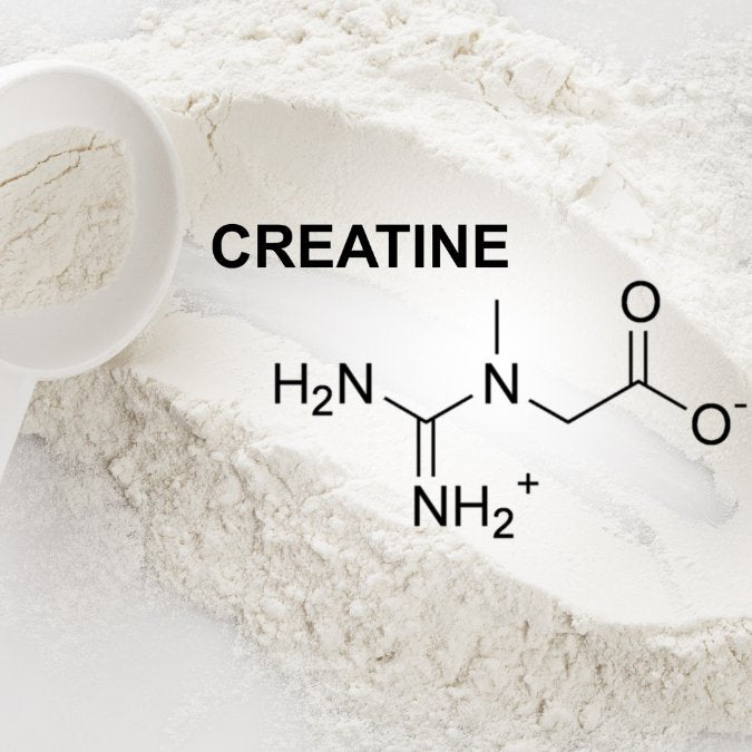 Ultimate Guide to Creatine: Benefits, Dosage, Side Effects, and Travel Tips - Supplement Shop
