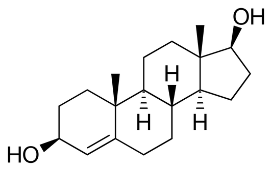 Unveiling the Power of Non-Methylated Prohormones: A Comprehensive Guide - Supplement Shop