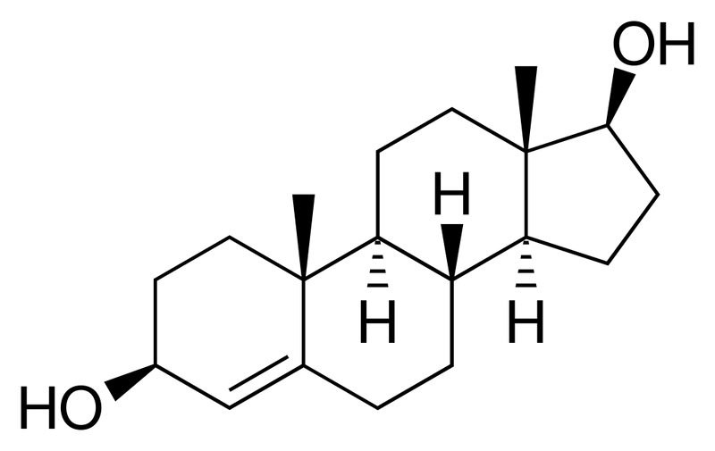 Unveiling the Power of Non-Methylated Prohormones: A Comprehensive Guide - Supplement Shop