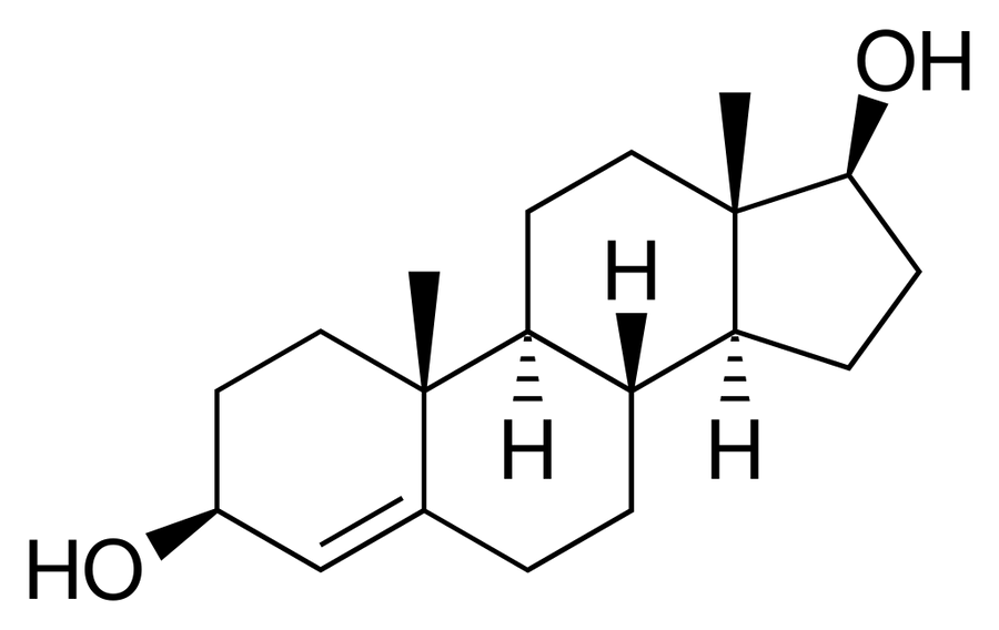 Unveiling the Power of Non-Methylated Prohormones: A Comprehensive Guide - Supplement Shop