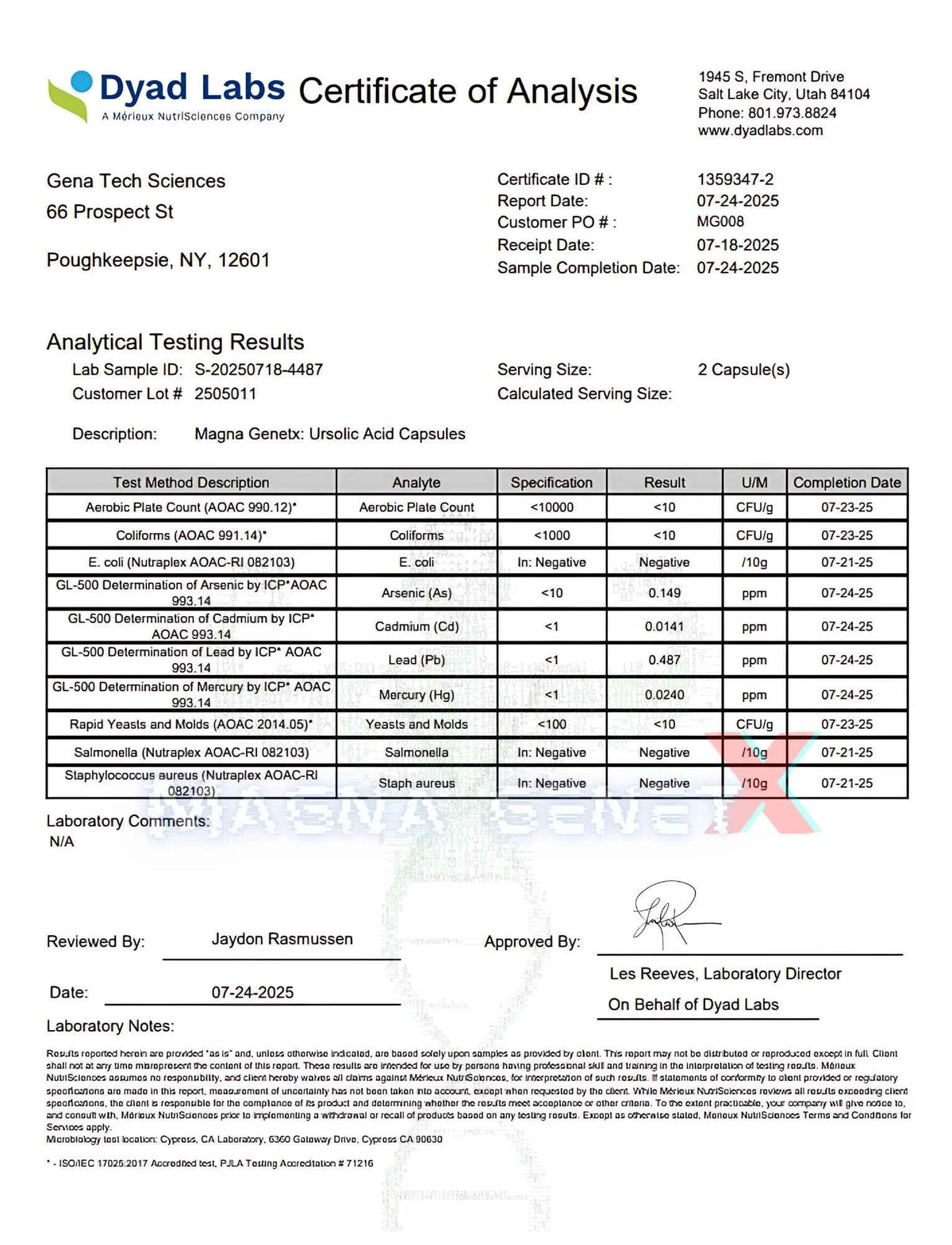 Magna GenetX - U Strol | High-Potency Ursolic Acid 385mg | Enhanced with Naringenin & Piperine | 60 Servings