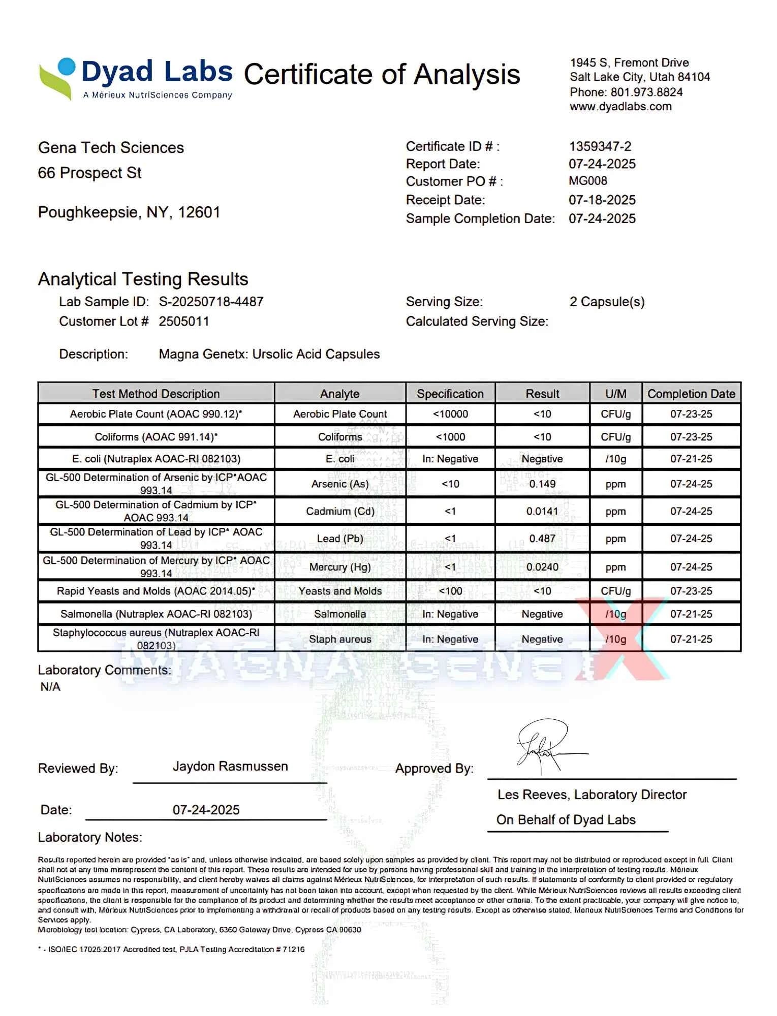 Magna GenetX - U Strol | High-Potency Ursolic Acid 385mg | Enhanced with Naringenin & Piperine | 60 Servings
