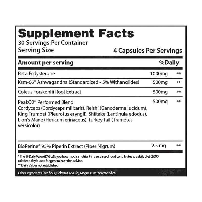 Chaos and Pain: Clearance Price