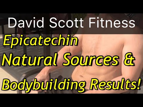 Epicatechin Video Summary YouTube